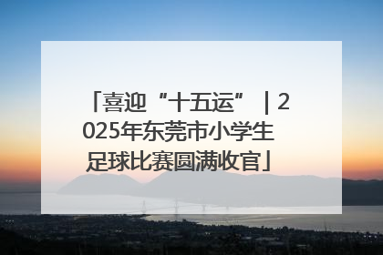 喜迎“十五运”｜2025年东莞市小学生足球比赛圆满收官