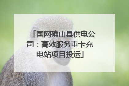 国网确山县供电公司：高效服务重卡充电站项目投运
