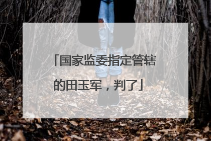 国家监委指定管辖的田玉军，判了