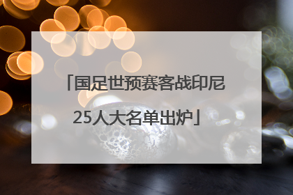 国足世预赛客战印尼25人大名单出炉