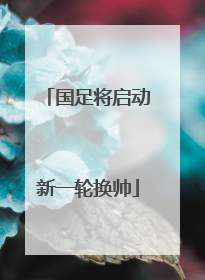 国足将启动新一轮换帅