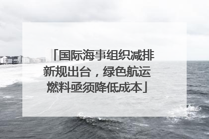 国际海事组织减排新规出台，绿色航运燃料亟须降低成本