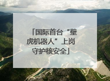 国际首台“壁虎机器人”上岗守护核安全