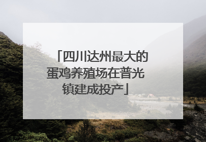 四川达州最大的蛋鸡养殖场在普光镇建成投产