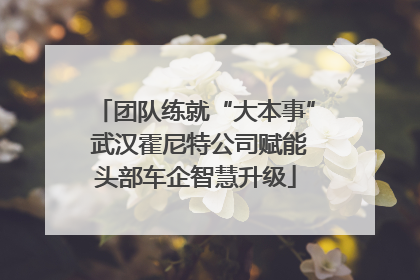 团队练就“大本事” 武汉霍尼特公司赋能头部车企智慧升级