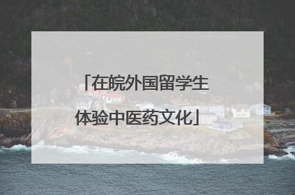 在皖外国留学生体验中医药文化