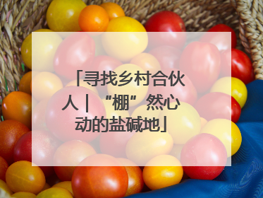 寻找乡村合伙人｜“棚”然心动的盐碱地