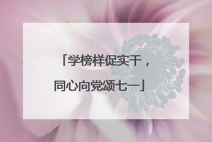 学榜样促实干，同心向党颂七一