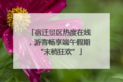 宿迁景区热度在线，游客畅享端午假期“末梢狂欢”