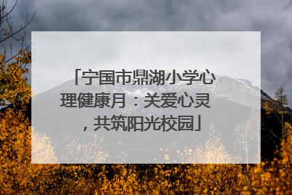 宁国市鼎湖小学心理健康月：关爱心灵，共筑阳光校园