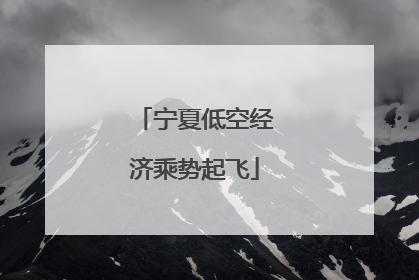 宁夏低空经济乘势起飞