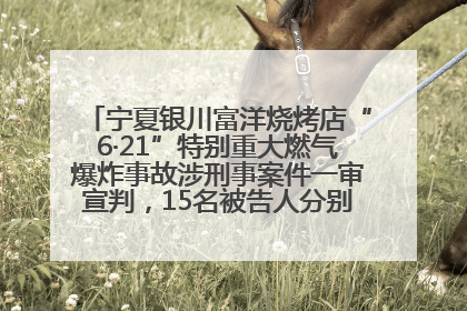 宁夏银川富洋烧烤店“6·21”特别重大燃气爆炸事故涉刑事案件一审宣判，15名被告人分别判刑六年至一年不等