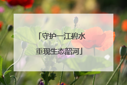 守护一江碧水 重现生态韶河