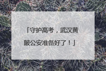 守护高考，武汉黄陂公安准备好了！