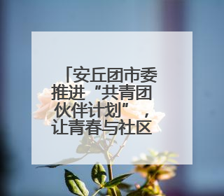 安丘团市委推进“共青团伙伴计划”，让青春与社区双向奔赴