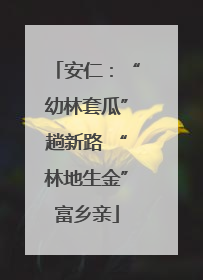 安仁：“幼林套瓜”趟新路 “林地生金”富乡亲