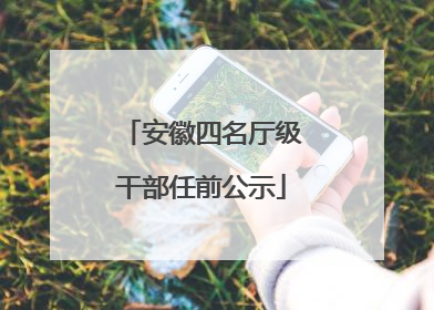 安徽四名厅级干部任前公示
