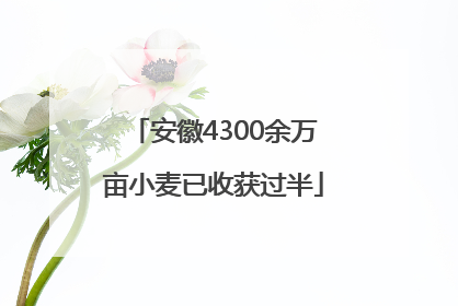 安徽4300余万亩小麦已收获过半