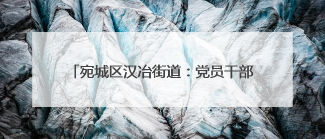 宛城区汉冶街道：党员干部进企业 精准服务促发展