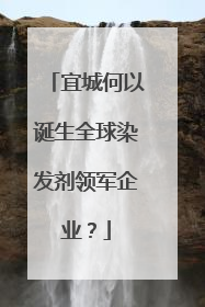宜城何以诞生全球染发剂领军企业？