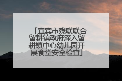 宜宾市残联联合留耕镇政府深入留耕镇中心幼儿园开展食堂安全检查