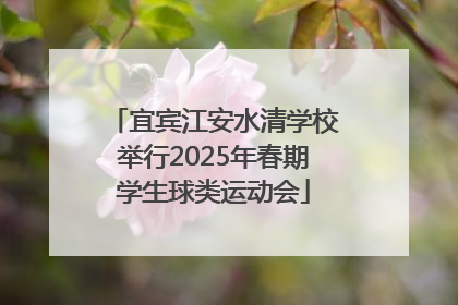 宜宾江安水清学校举行2025年春期学生球类运动会
