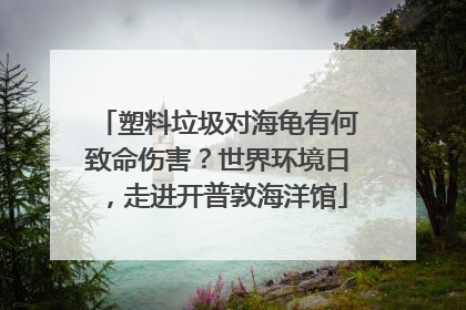 塑料垃圾对海龟有何致命伤害？世界环境日，走进开普敦海洋馆