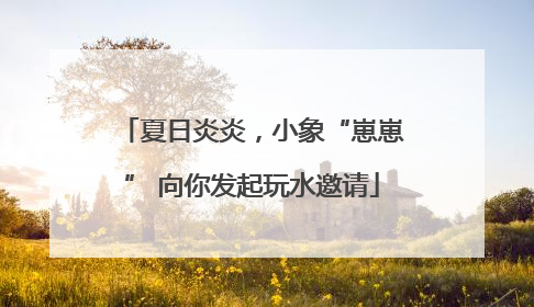 夏日炎炎，小象“崽崽” 向你发起玩水邀请