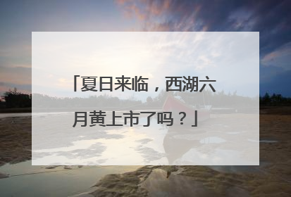 夏日来临，西湖六月黄上市了吗？