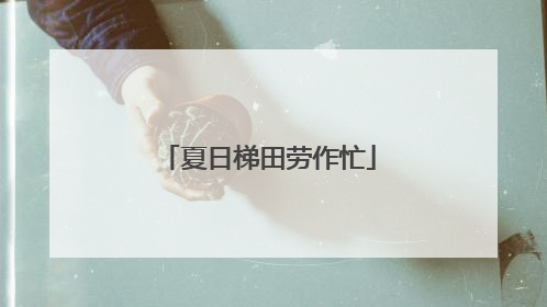 夏日梯田劳作忙