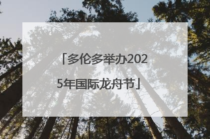 多伦多举办2025年国际龙舟节