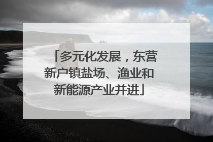 多元化发展，东营新户镇盐场、渔业和新能源产业并进