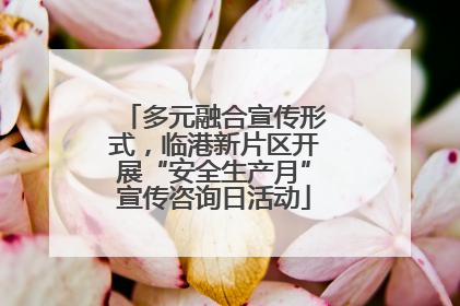 多元融合宣传形式，临港新片区开展“安全生产月”宣传咨询日活动
