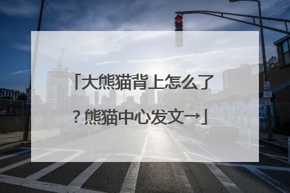 大熊猫背上怎么了？熊猫中心发文→