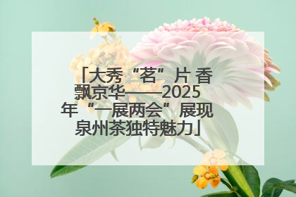 大秀“茗”片 香飘京华——2025年“一展两会”展现泉州茶独特魅力