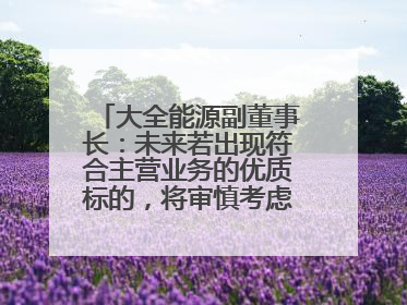大全能源副董事长：未来若出现符合主营业务的优质标的，将审慎考虑并购机会