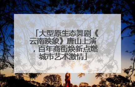 大型原生态舞剧《云南映象》唐山上演，百年商街焕新点燃城市艺术激情