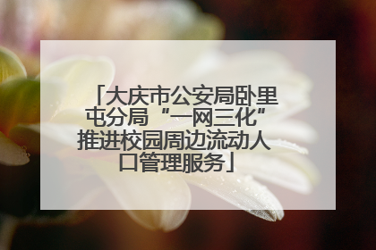 大庆市公安局卧里屯分局“一网三化”推进校园周边流动人口管理服务