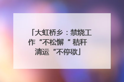 大虹桥乡：禁烧工作“不松懈“ 秸秆清运“不停歇