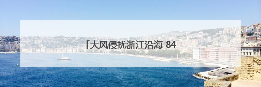 大风侵扰浙江沿海 84条水上客渡运航线已停航