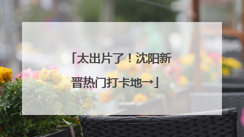太出片了！沈阳新晋热门打卡地→
