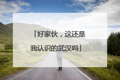 好家伙，这还是我认识的武汉吗