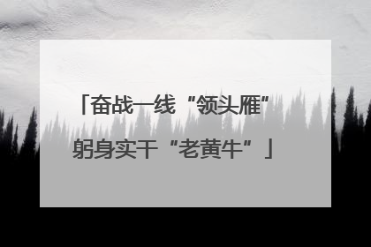 奋战一线“领头雁” 躬身实干“老黄牛”