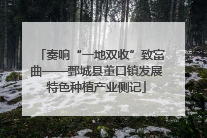 奏响“一地双收”致富曲——鄄城县董口镇发展特色种植产业侧记