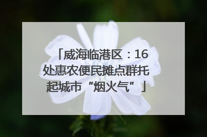 威海临港区：16处惠农便民摊点群托起城市“烟火气”