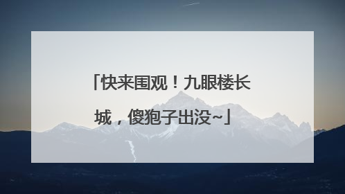 快来围观！九眼楼长城，傻狍子出没~