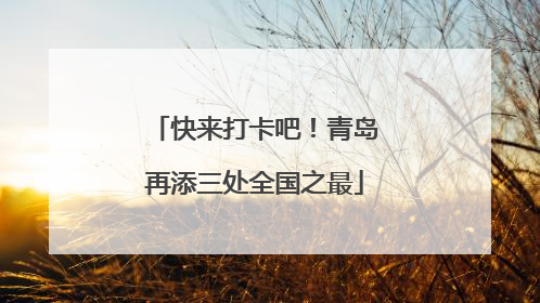 快来打卡吧！青岛再添三处全国之最