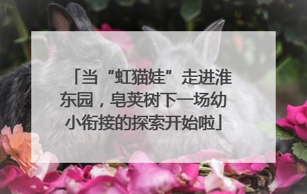 当“虹猫娃”走进淮东园，皂荚树下一场幼小衔接的探索开始啦