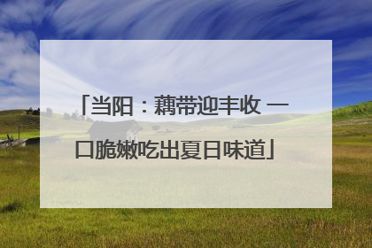 当阳：藕带迎丰收 一口脆嫩吃出夏日味道