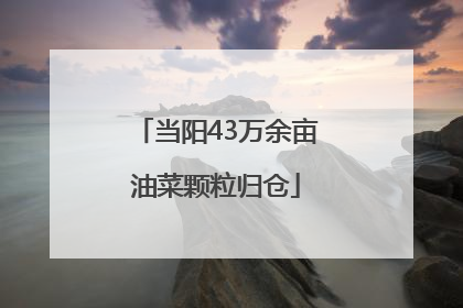 当阳43万余亩油菜颗粒归仓
